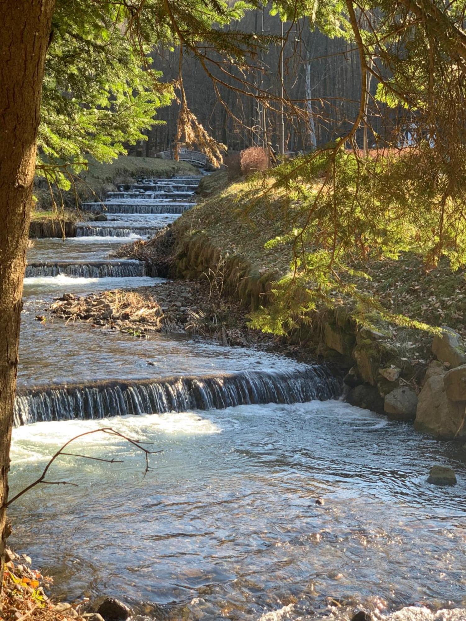 Elf-Cottage Tur'ya Paseka Zewnętrze zdjęcie